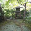 苔がむしています　誰でも歩けるところなので今のうち