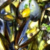 ムール貝のワイン蒸し