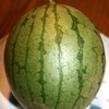 小玉西瓜