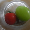 プチトマトと比べて