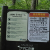 クマ出現！