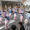 阿波踊り③
