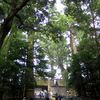 晴れ間も出てきました。（本殿前の階段）