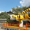 寅ごしに本堂を見上げて