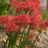 f5.6