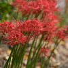 f3.5