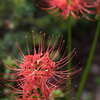 f2.8