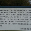 写真2