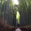 竹林の小径。