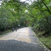 なんともええ感じ