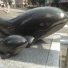 めだかがくじらに…^ ^