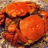 藻屑蟹蒸；抱身が甘い @2014/10/10