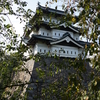 弘前城を眺め