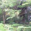 三千院のお庭から見える景色