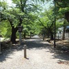 弥彦公園
