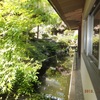 お堀のような池には鯉が沢山いました