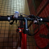 写真2