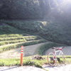 紅葉の時期にまた来たいもんです