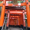 伏見稲荷 鳥居が好きです