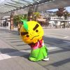 滝の道ゆずる