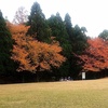 紅葉と芝生
