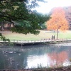 根岸森林公園の池