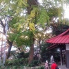 友達夫婦