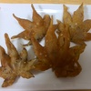 紅葉の天ぷら