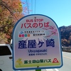 穴場です