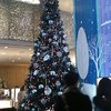店内のツリー（許可すみ）