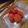 さくらんぼ