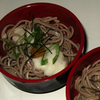 年越し蕎麦(2010)