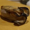煮牡蠣はお初