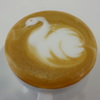 カプチーノ(白鳥(スワン))