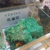 孔雀のイメージですか