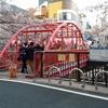 ボクはこの橋からの桜が、一番好きだ♪