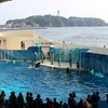 4/1　新江ノ島水族館へ