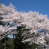 桜の広がりがなんともよい感じ