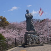 龍馬像と桜