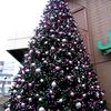 JR恵比寿駅前のクリスマスツリー