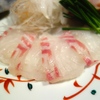 鯛の刺身いろいろ