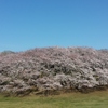 おまけー森林公園