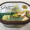 ジェラートマイスター ピスタチオ
