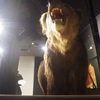 本物はもっと怖いけどね