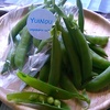 スナップエンドウ  150円