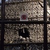 4万近くのドグロが納骨されているそう。汗
