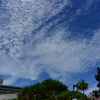 南国の青空