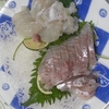 しょうさいふぐとグチの刺身
