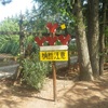 探すといない