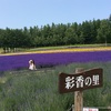 中国の方です